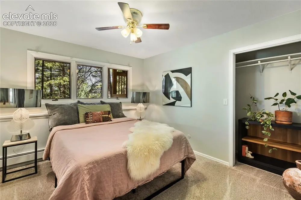 1150 Forest Hill Place Woodland Park, CO 80863