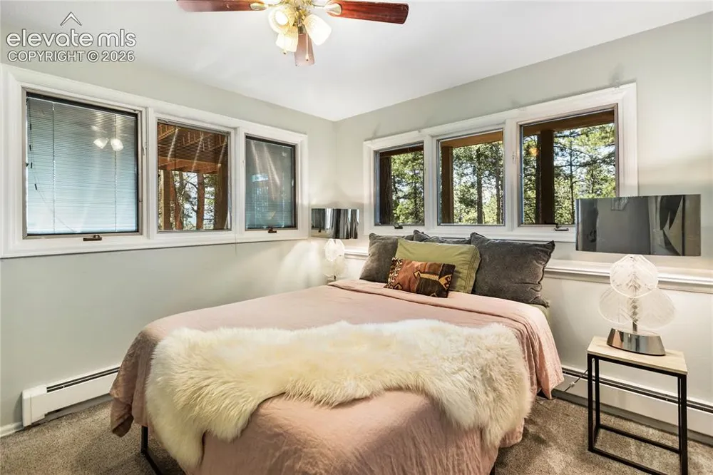 1150 Forest Hill Place Woodland Park, CO 80863
