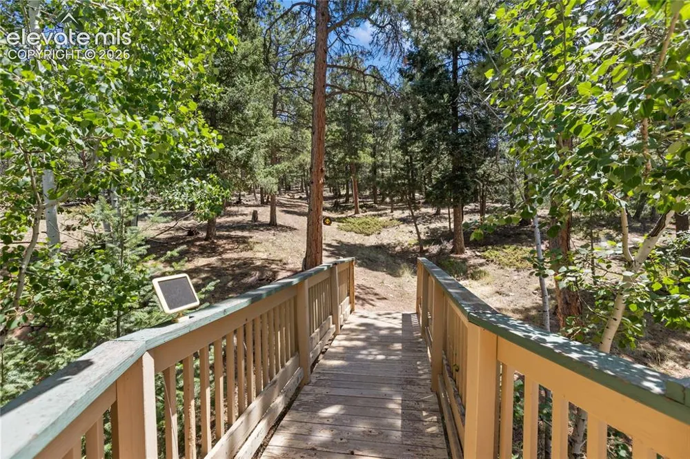 1150 Forest Hill Place Woodland Park, CO 80863