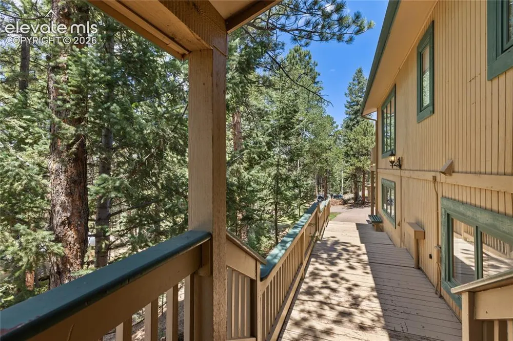 1150 Forest Hill Place Woodland Park, CO 80863
