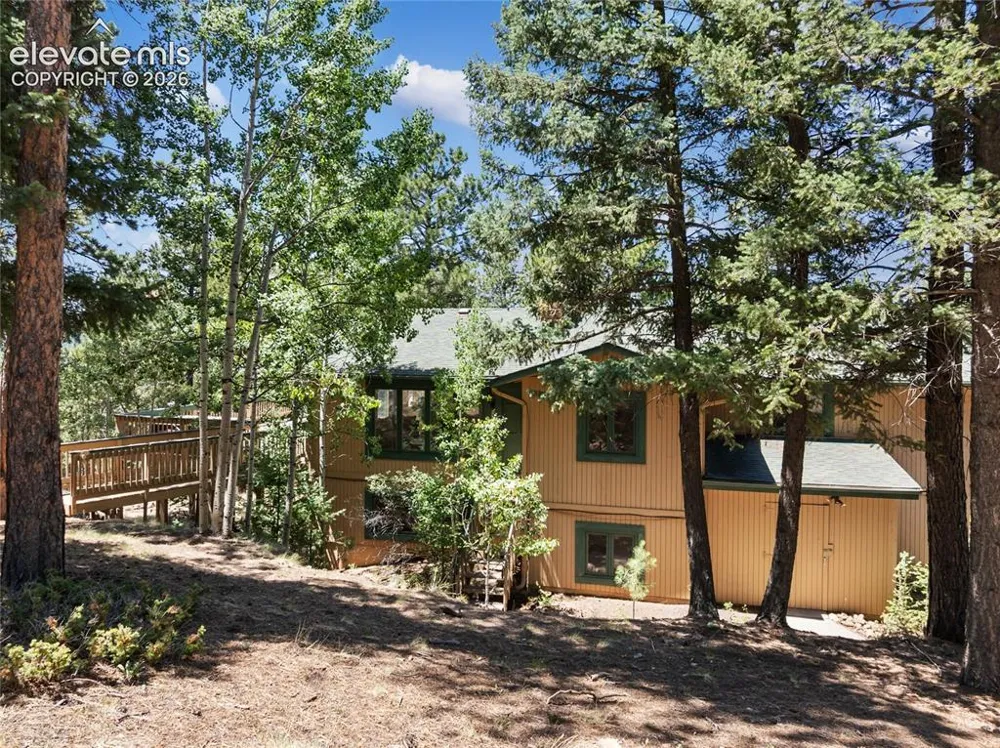 1150 Forest Hill Place Woodland Park, CO 80863