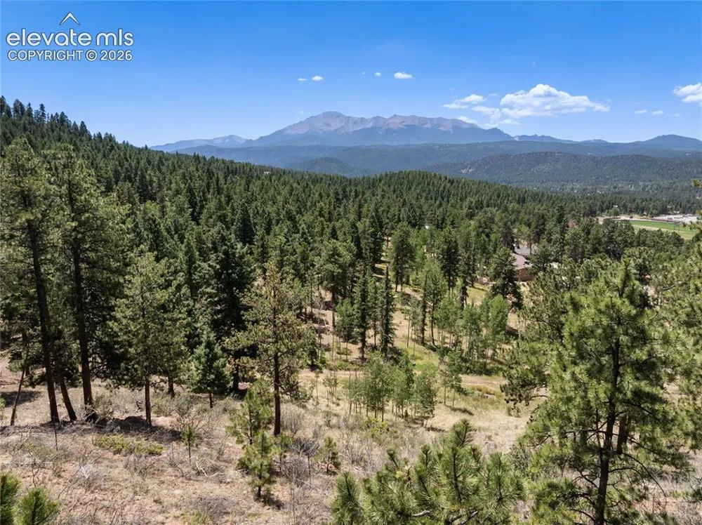 1150 Forest Hill Place Woodland Park, CO 80863