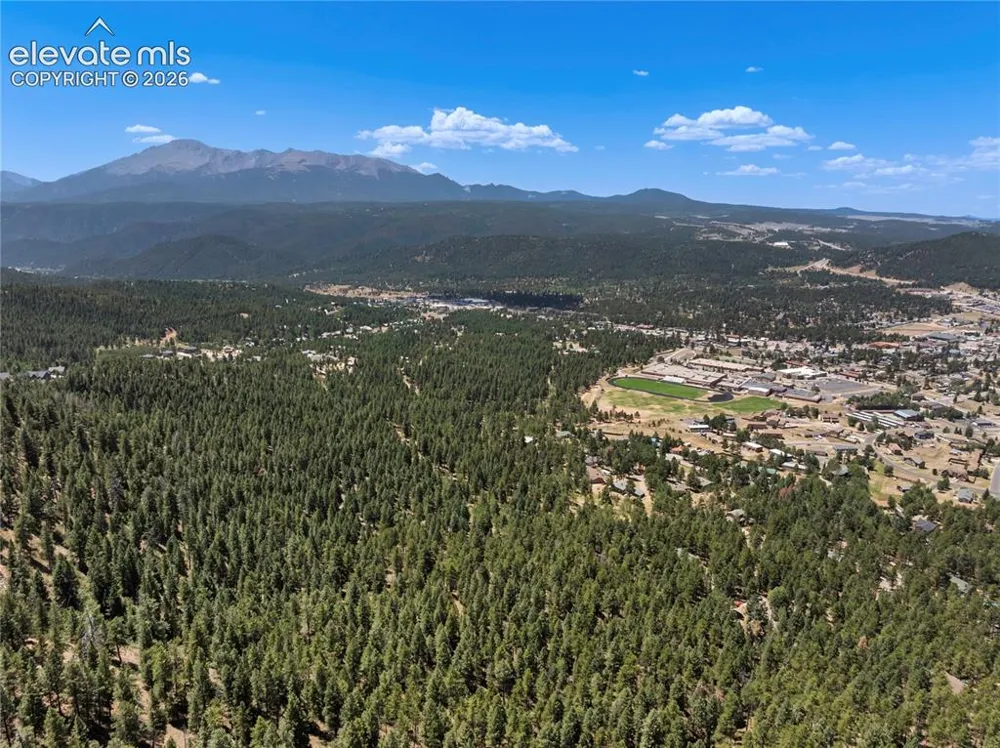 1150 Forest Hill Place Woodland Park, CO 80863