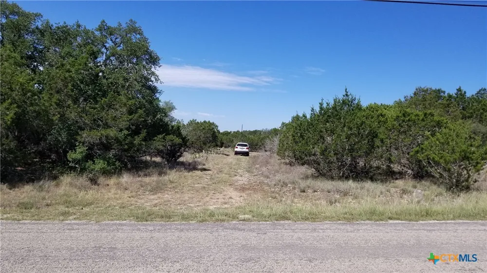 422 Ash Juniper Drive New Braunfels, TX 78132