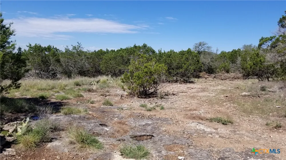 422 Ash Juniper Drive New Braunfels, TX 78132