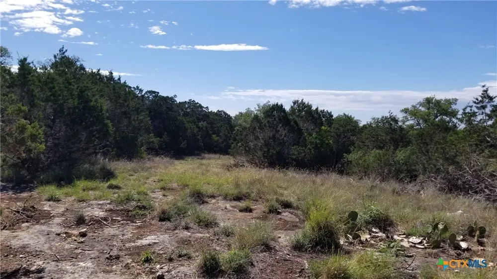 422 Ash Juniper Drive New Braunfels, TX 78132