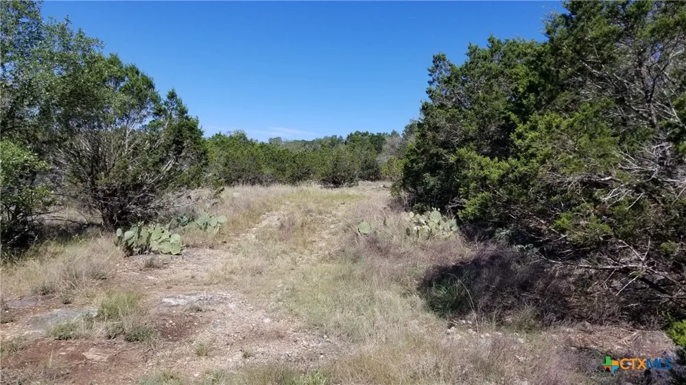 422 Ash Juniper Drive New Braunfels, TX 78132