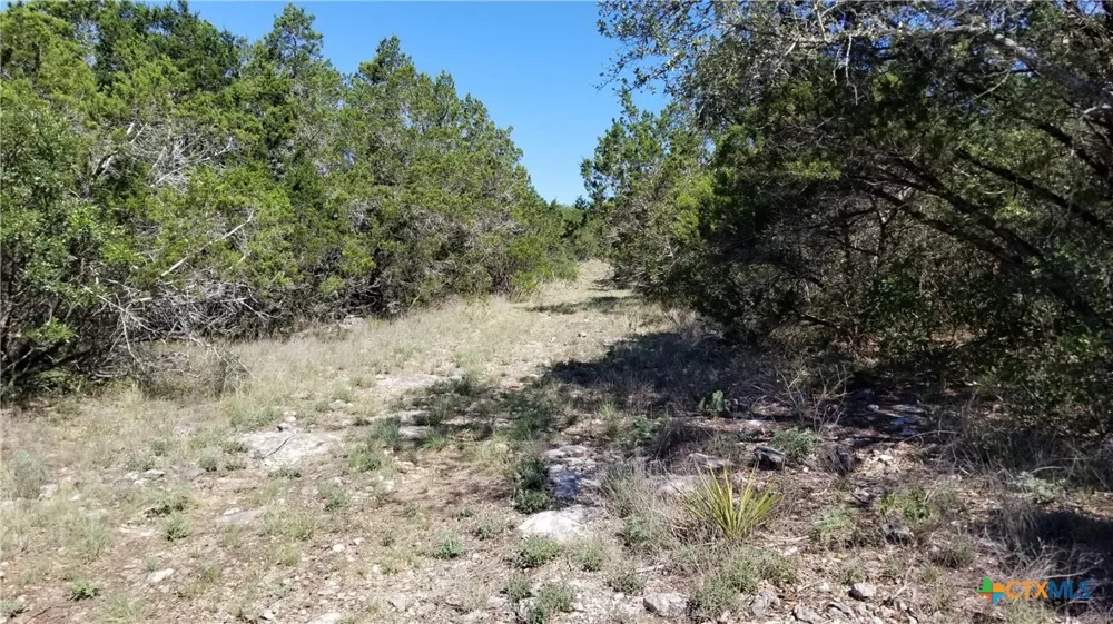422 Ash Juniper Drive New Braunfels, TX 78132