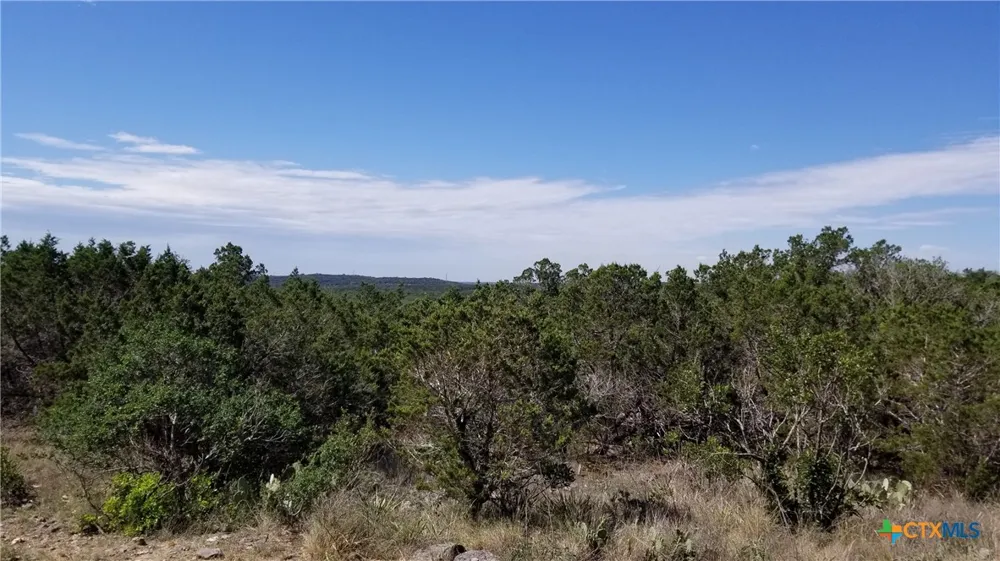 422 Ash Juniper Drive New Braunfels, TX 78132