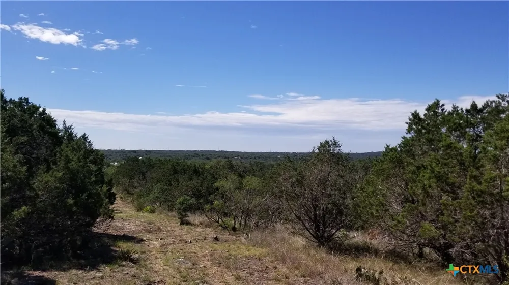422 Ash Juniper Drive New Braunfels, TX 78132