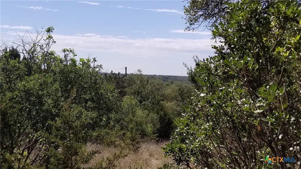422 Ash Juniper Drive New Braunfels, TX 78132