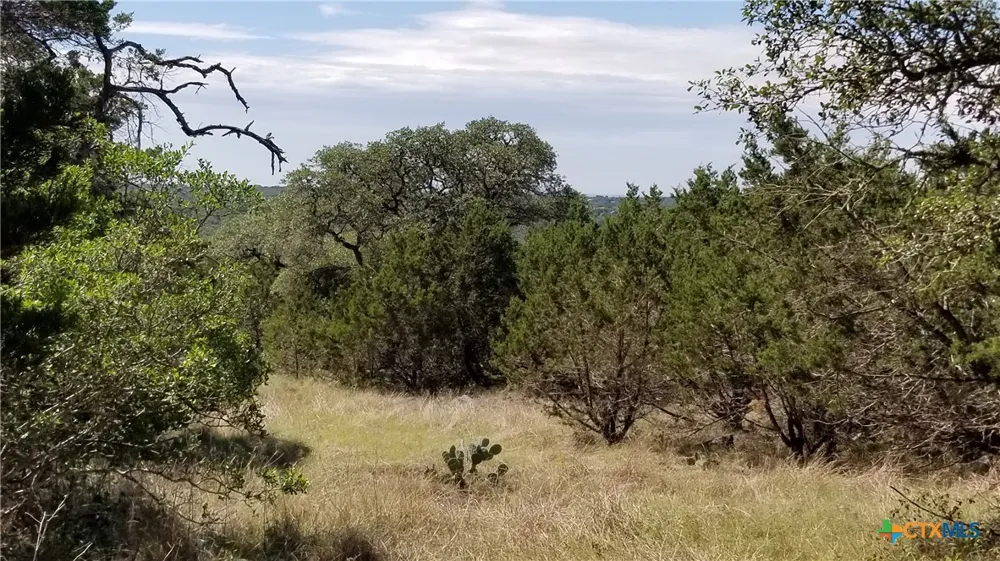422 Ash Juniper Drive New Braunfels, TX 78132