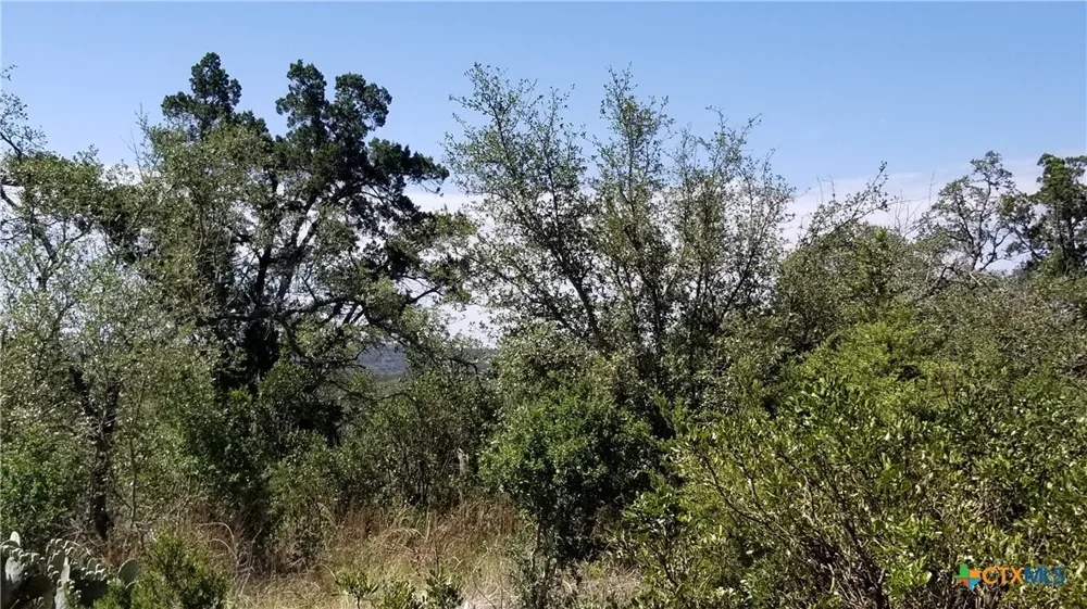 422 Ash Juniper Drive New Braunfels, TX 78132