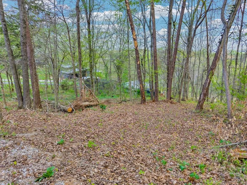 0 Lawson Rd Sparta, TN 38583