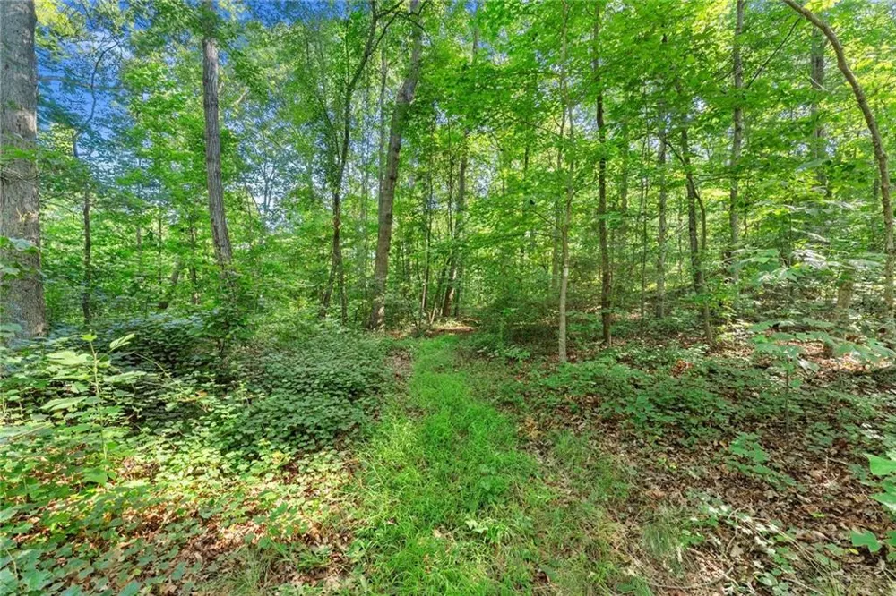 0 Prospect Road Carnesville, GA 30521