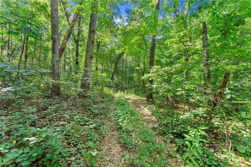 0 Prospect Road Carnesville, GA 30521