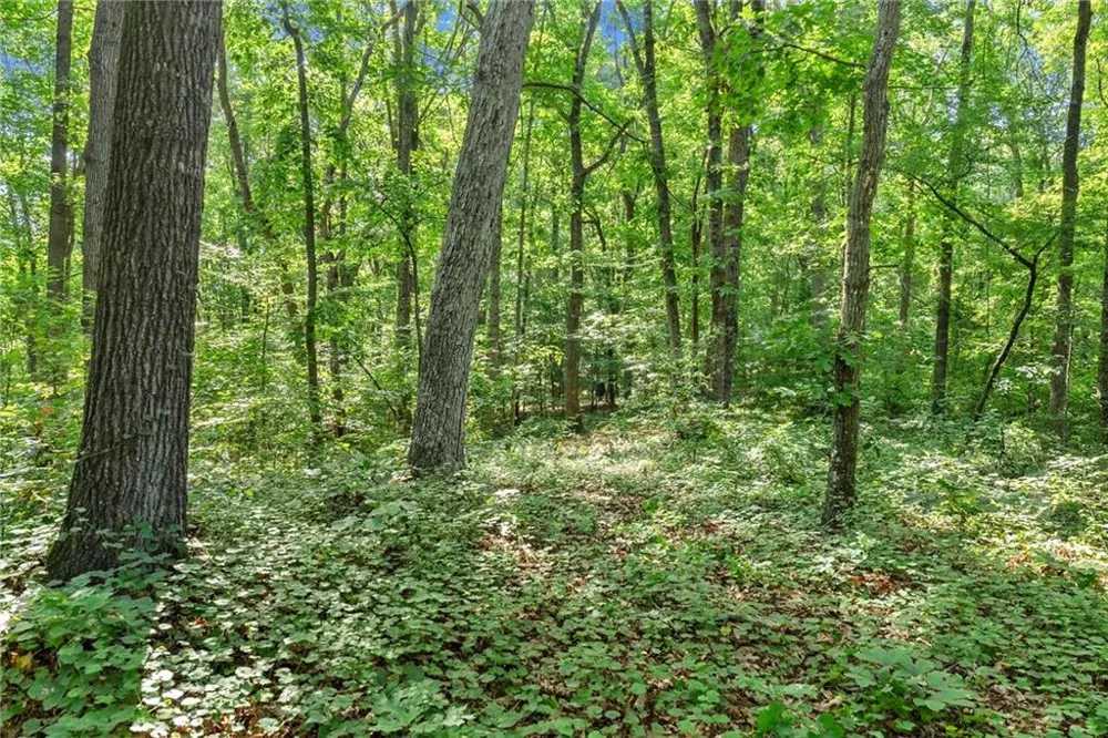0 Prospect Road Carnesville, GA 30521