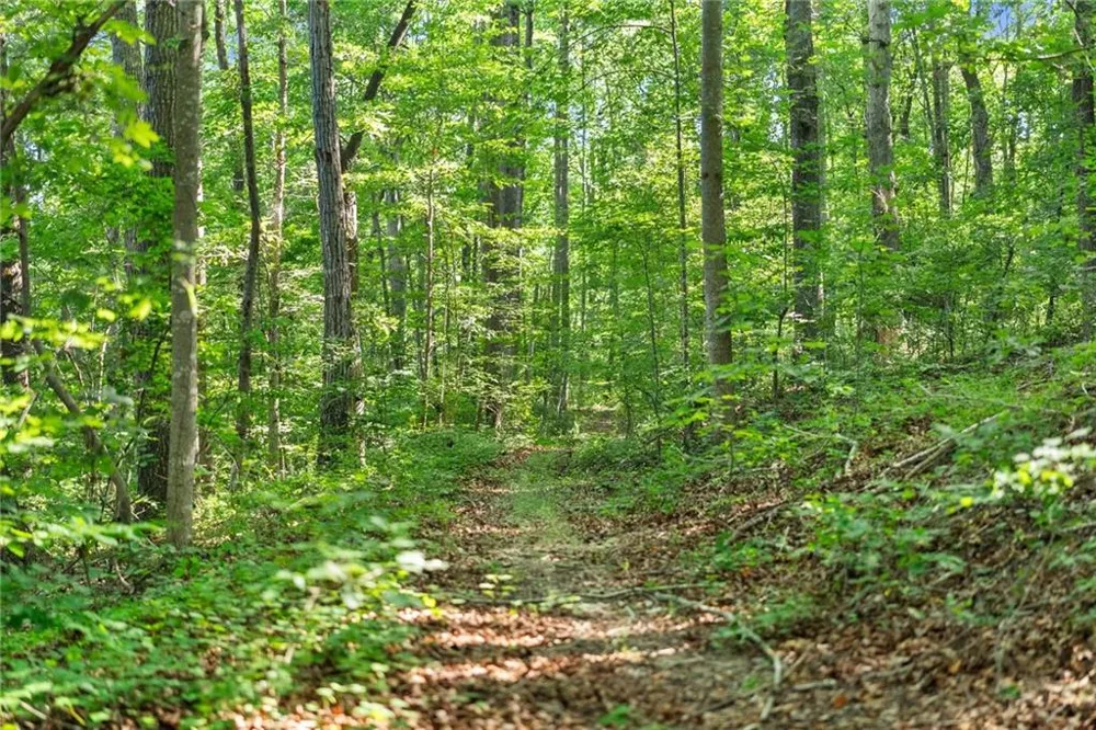0 Prospect Road Carnesville, GA 30521