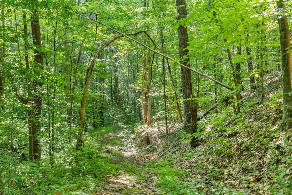 0 Prospect Road Carnesville, GA 30521