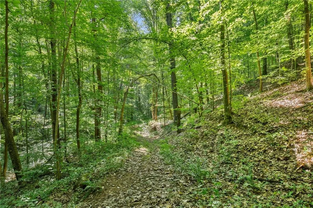 0 Prospect Road Carnesville, GA 30521