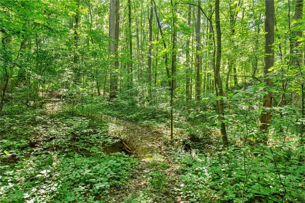 0 Prospect Road Carnesville, GA 30521