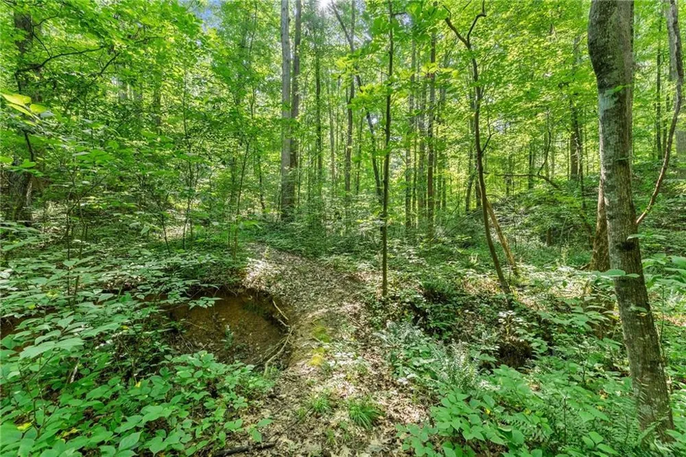 0 Prospect Road Carnesville, GA 30521