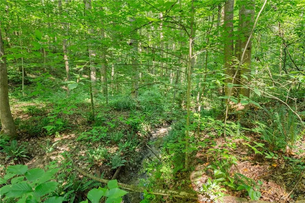 0 Prospect Road Carnesville, GA 30521