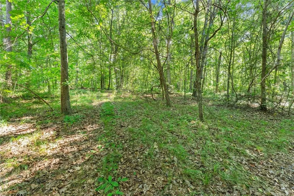 0 Prospect Road Carnesville, GA 30521