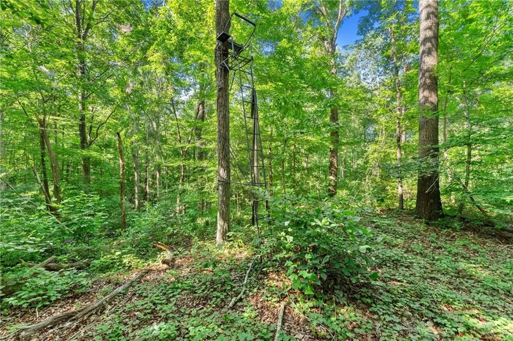 0 Prospect Road Carnesville, GA 30521