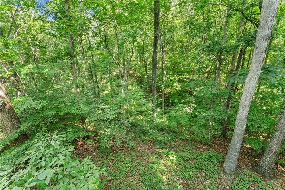0 Prospect Road Carnesville, GA 30521