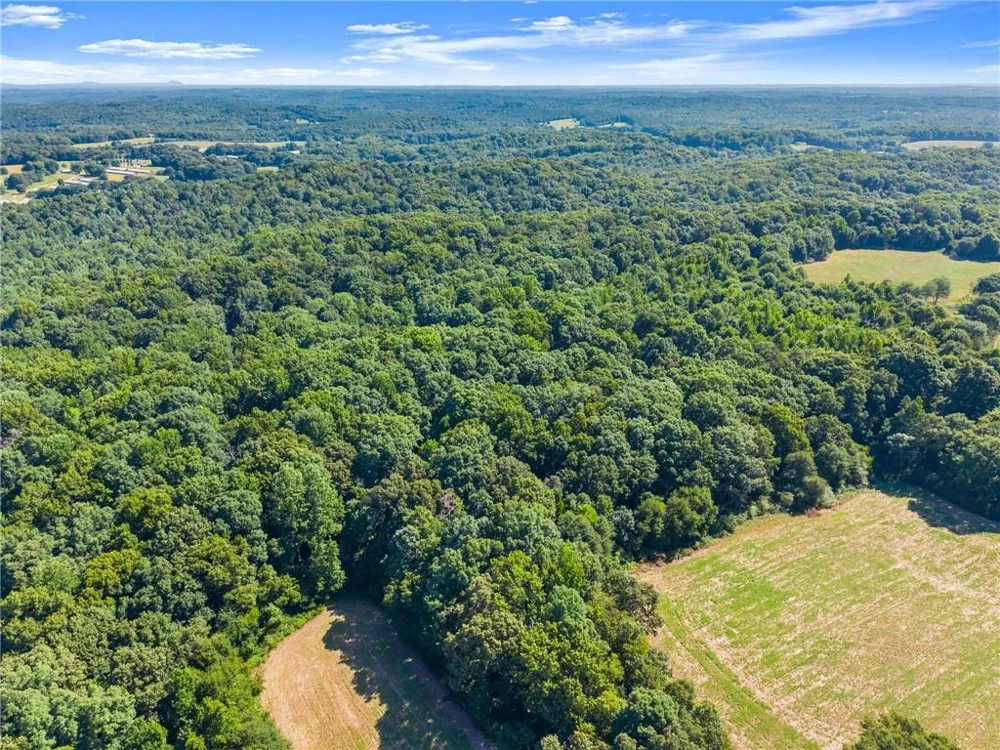 0 Prospect Road Carnesville, GA 30521