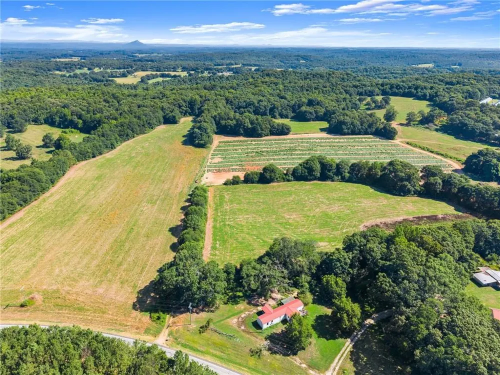 0 Prospect Road Carnesville, GA 30521