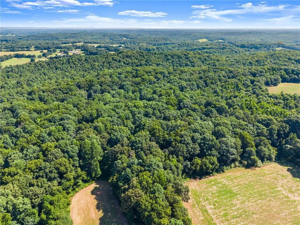 0 Prospect Road Carnesville, GA 30521