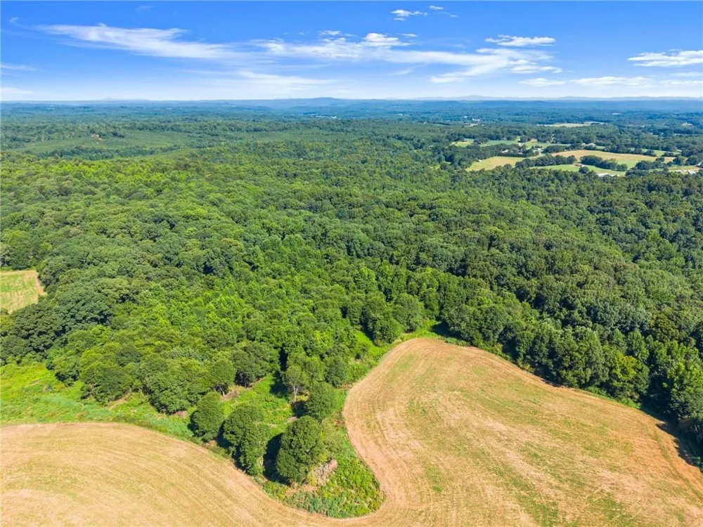 0 Prospect Road Carnesville, GA 30521