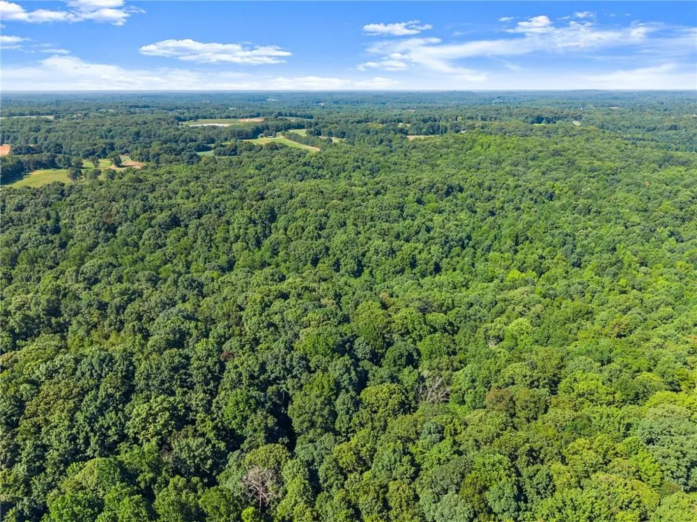 0 Prospect Road Carnesville, GA 30521