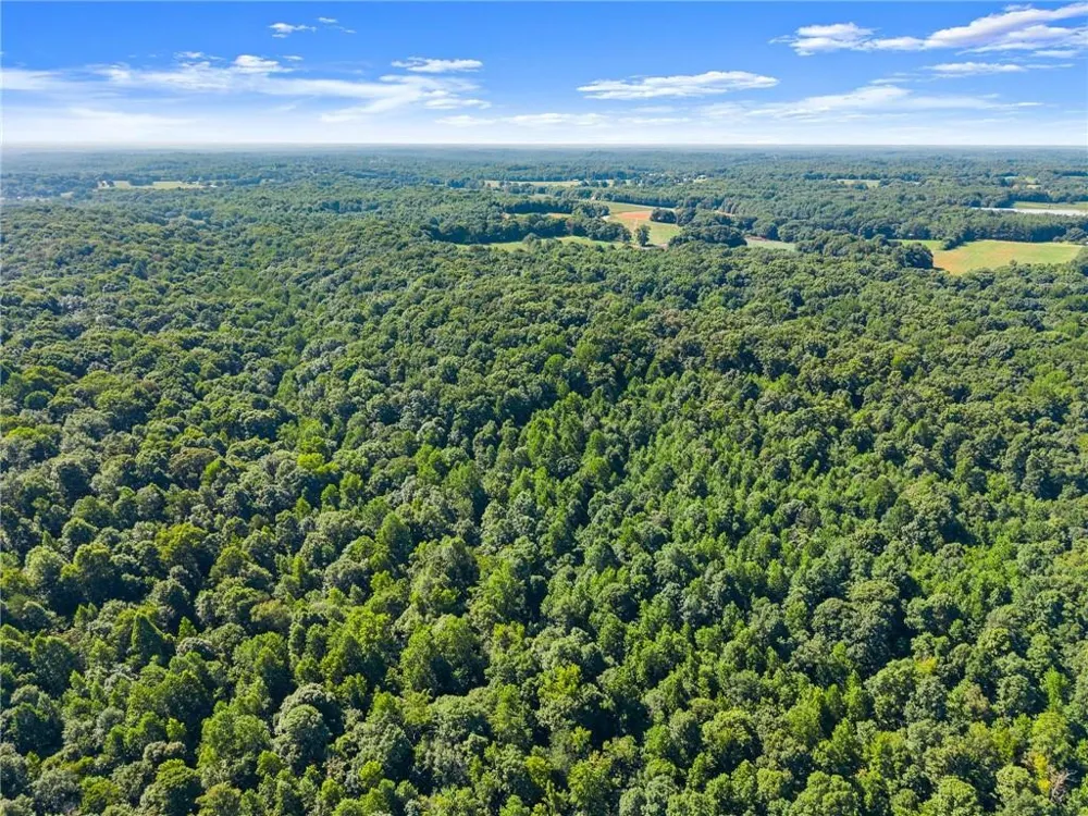 0 Prospect Road Carnesville, GA 30521