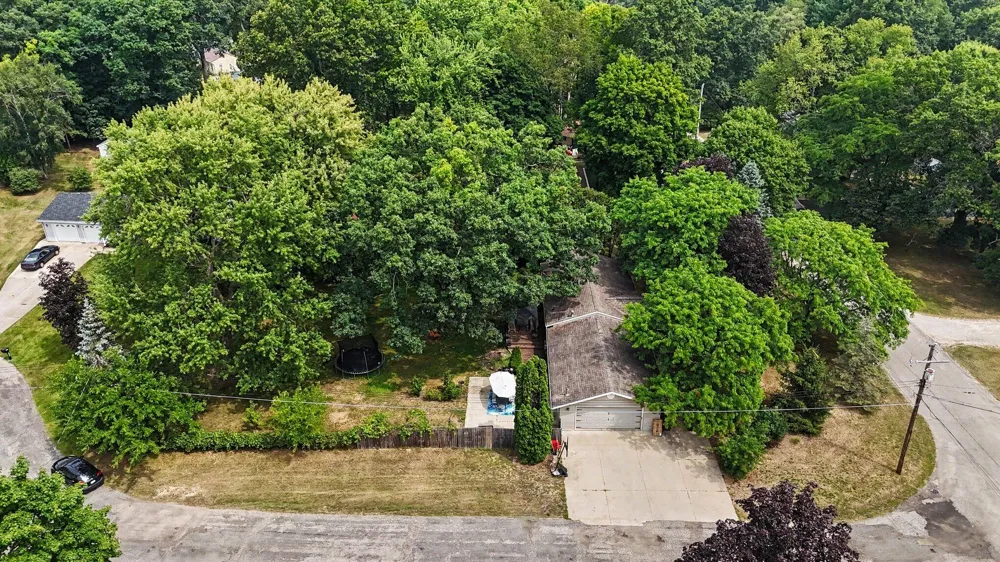 507 Floral Drive Belding, MI 48809