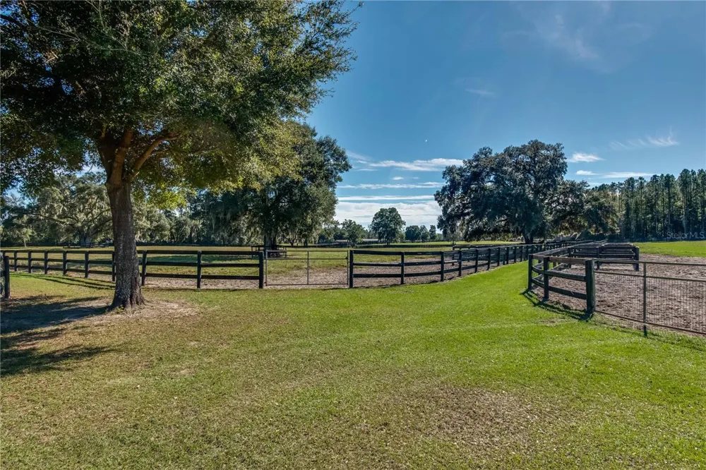 7787 NW 150TH AVENUE Morriston, FL 32668