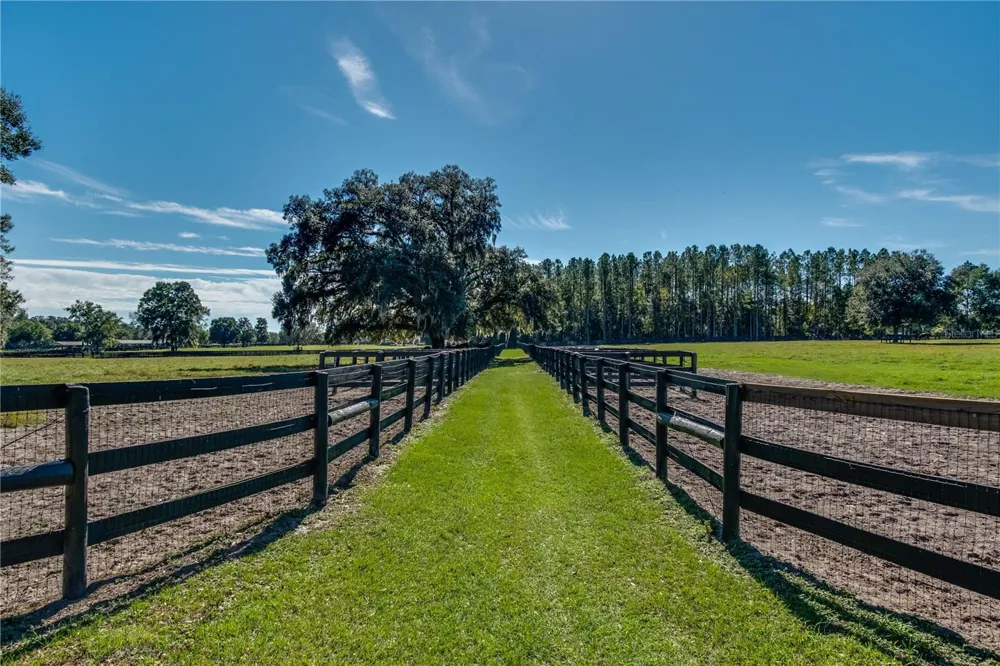 7787 NW 150TH AVENUE Morriston, FL 32668