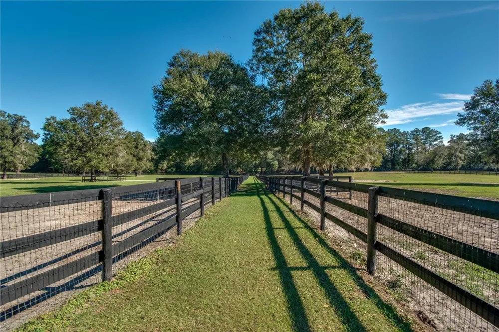 7787 NW 150TH AVENUE Morriston, FL 32668