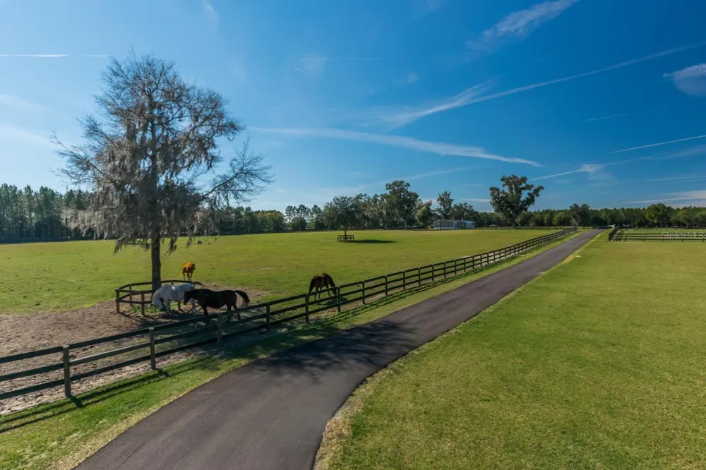 7787 NW 150TH AVENUE Morriston, FL 32668