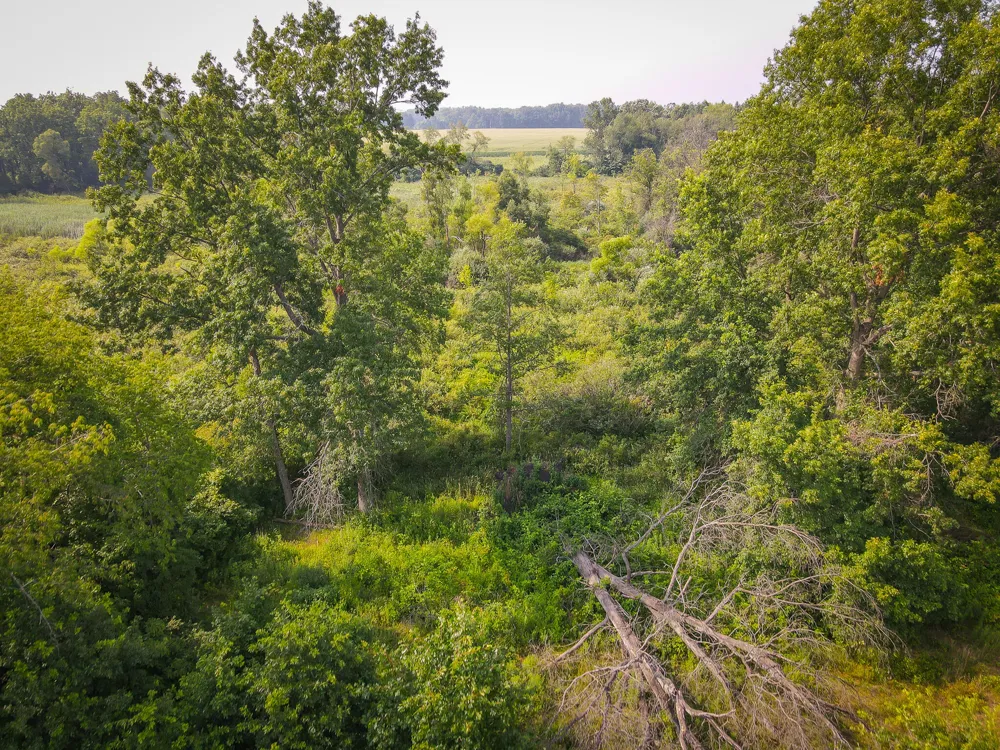 50002 M 51 Dowagiac, MI 49047