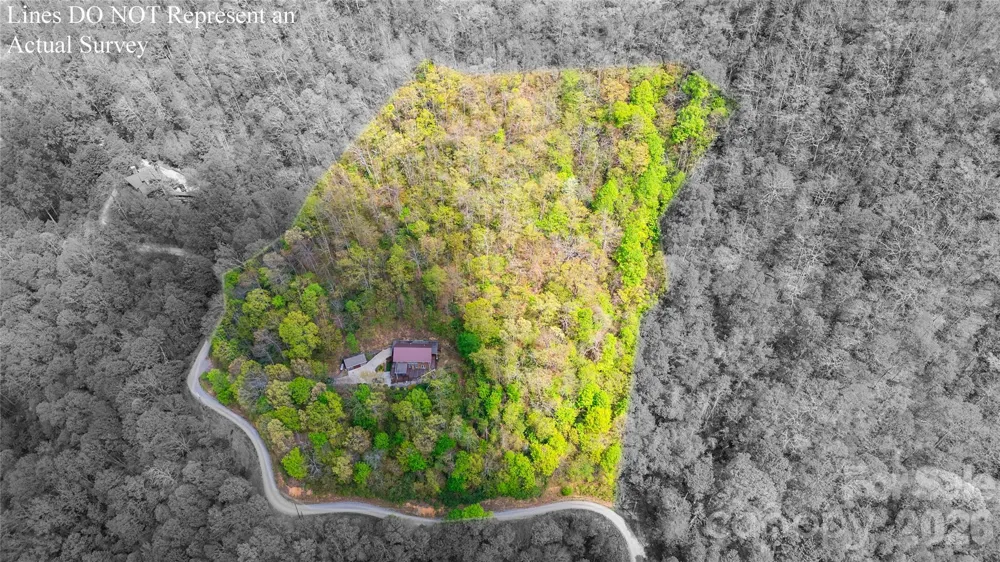 1602 Forest Run Road Whittier, NC 28789