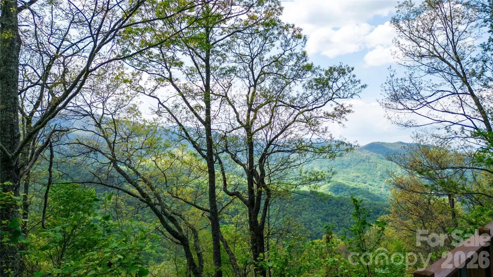 1602 Forest Run Road Whittier, NC 28789
