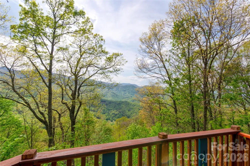 1602 Forest Run Road Whittier, NC 28789