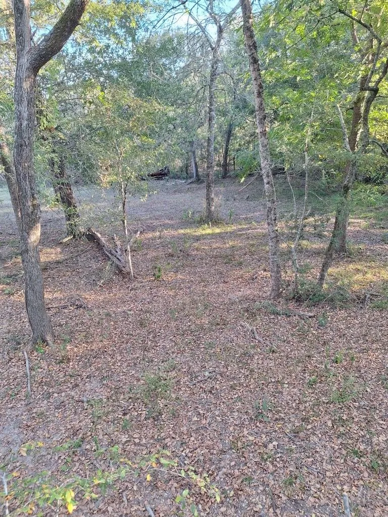 8851 Berger Easement Anderson, TX 77830