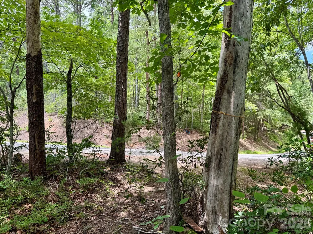 307 Fairway Drive Lake Lure, NC 28746