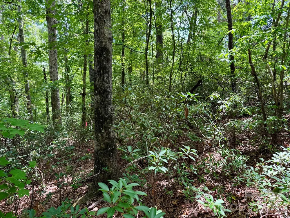 307 Fairway Drive Lake Lure, NC 28746