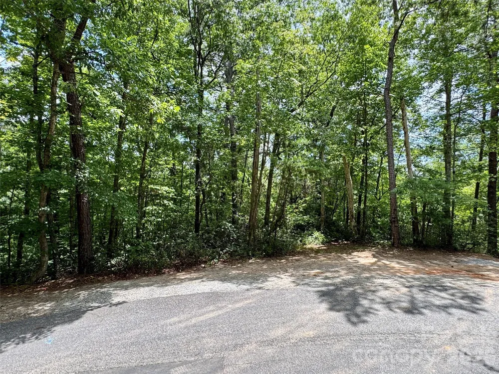 307 Fairway Drive Lake Lure, NC 28746