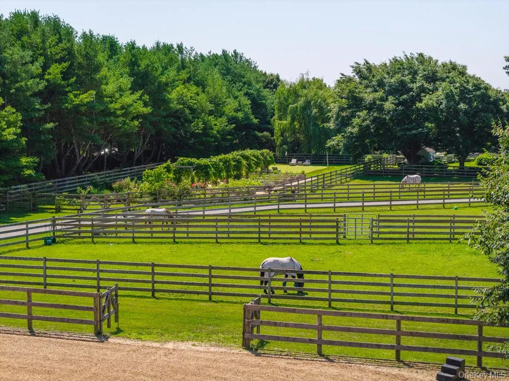 1810 Main Road Jamesport, NY 11947